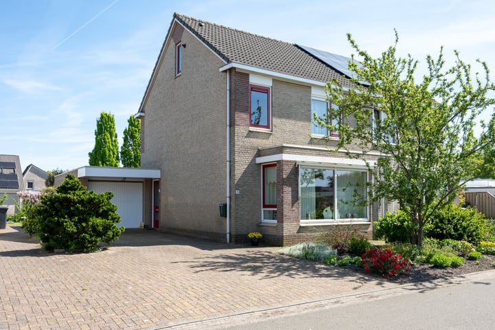 Bonte Specht 35 in Emmen