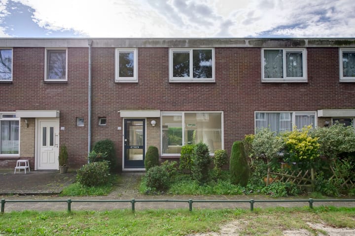 Boogschutter 50 in Hoogezand