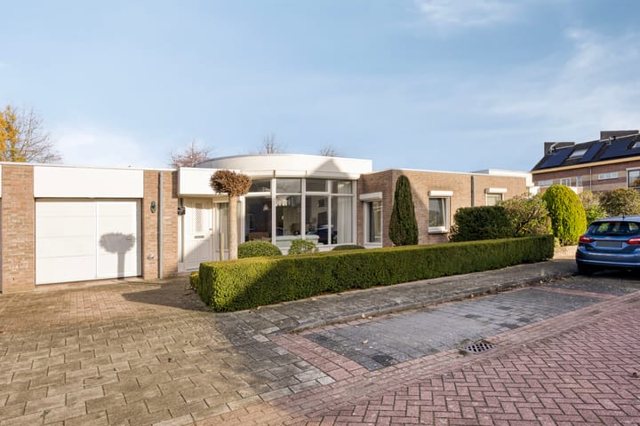 Boommarter 5 in Veldhoven