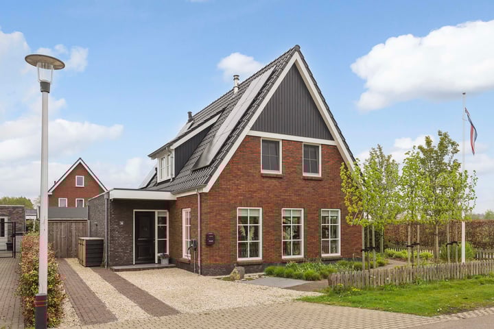 Boommarter 59 in Apeldoorn