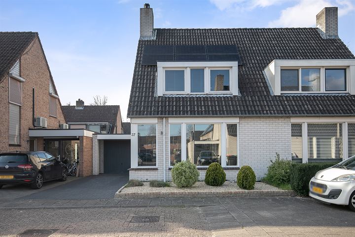 Borselestraat 37 in Tilburg