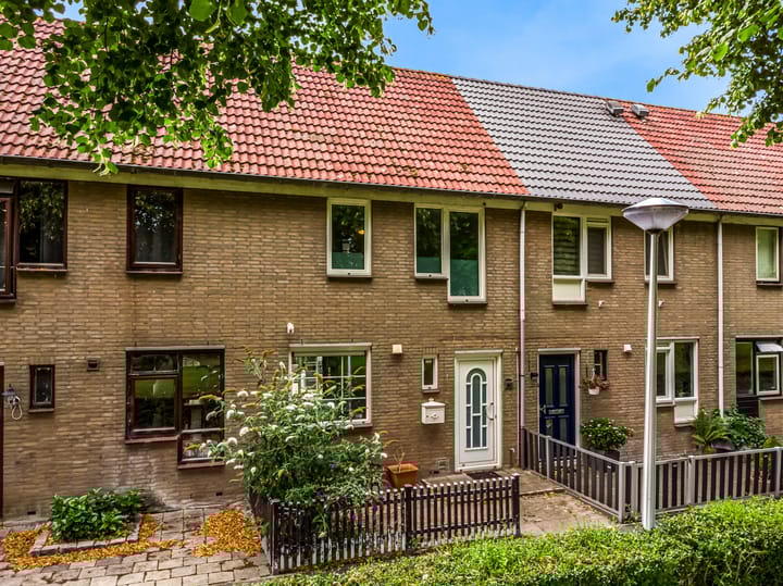 Borstelgras 58 in Spijkenisse