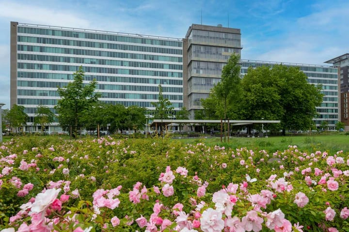 Bos en Lommerplantsoen 11D in Amsterdam