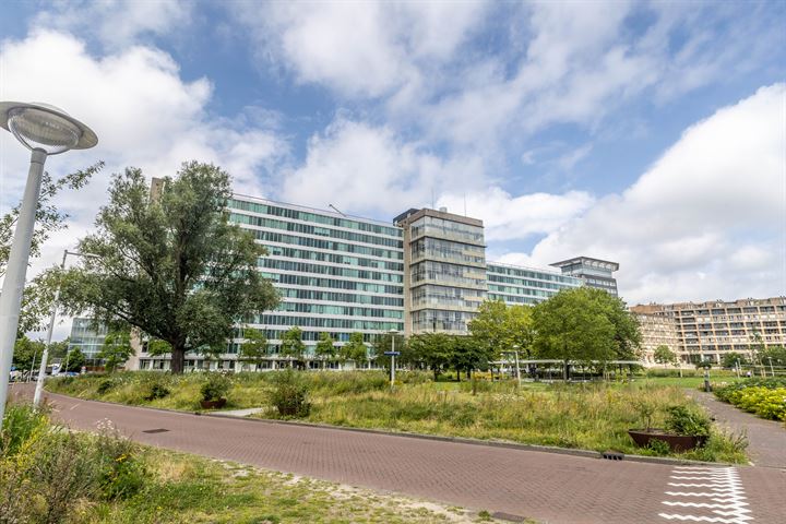 Bos en Lommerplantsoen 93N in Amsterdam