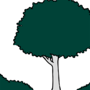 Logo van Bos Makelaardij o.g.