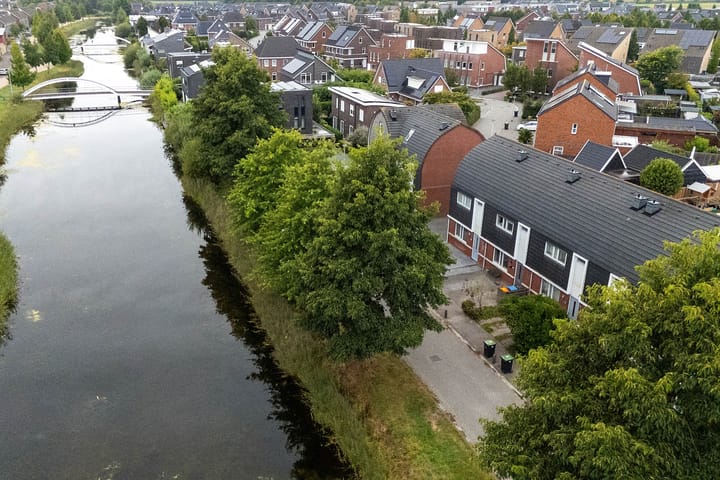 Bosanemoon 18 in Assen Foto