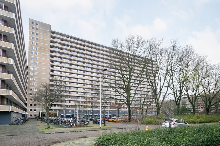 Bosboom-Toussaintplein 260 in Delft