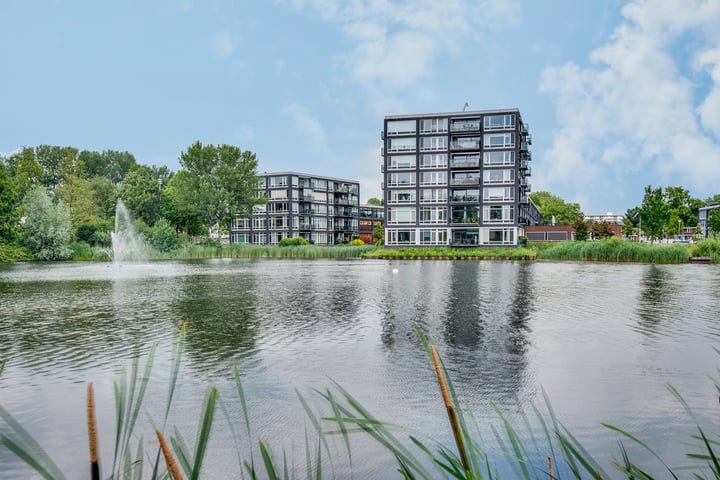 Bosboompad 23 in Rosmalen