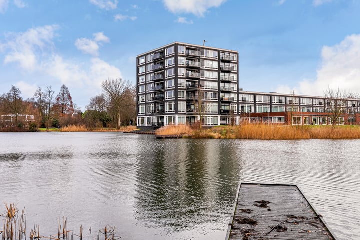 Bosboompad 25 in Rosmalen