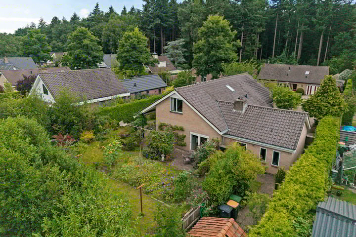 Bosbouwkamp 16 in Vledder