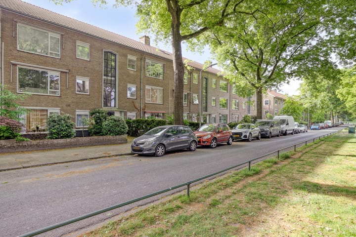 Bosdrift 217 in Hilversum