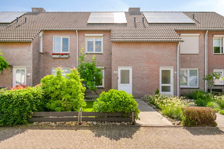 Boskant 61 in Handel
