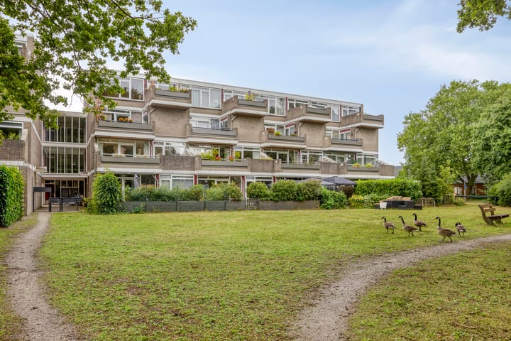 Bosplaat 96 in Zwolle