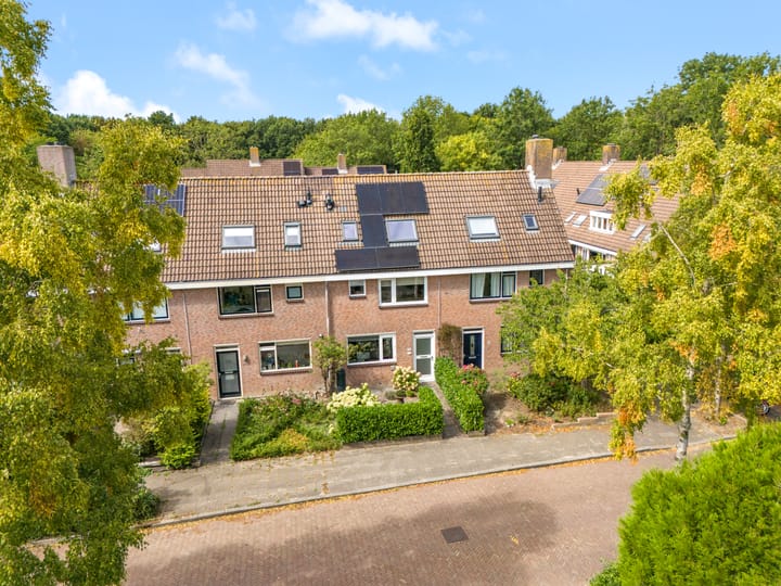 Bosrank 28 in Heiloo