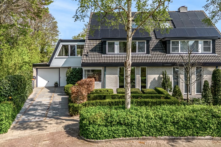 Bosrank 33 in Heiloo