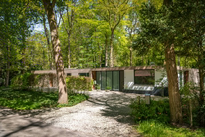 Bosweg 6 in Epse