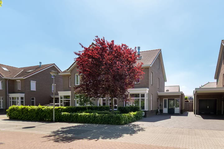 Boterbloem 11 in Rijssen foto