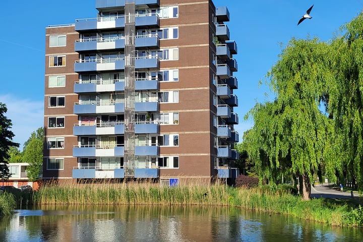 Boterbloem 75 in Uithoorn