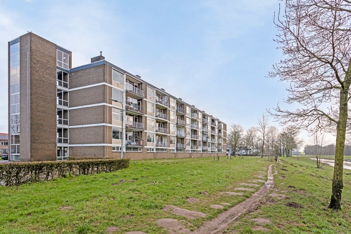 Bowierstraat 27 in 's-Hertogenbosch