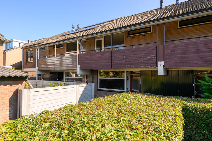 Braambes 3 in Leiden