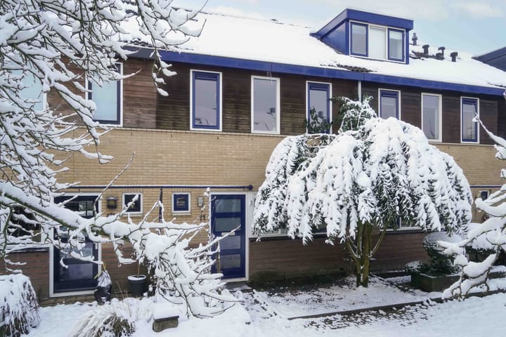 Brabantse Bellefleur 11 in Amersfoort foto