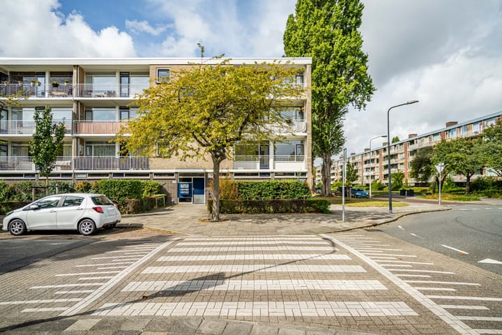 Brahmslaan 255 in Leiden photo