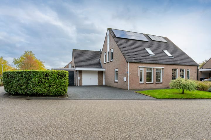 Brandgans 46 in Emmen Foto