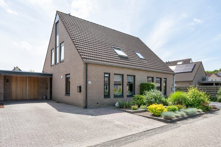 Brandgans 48 in Emmen