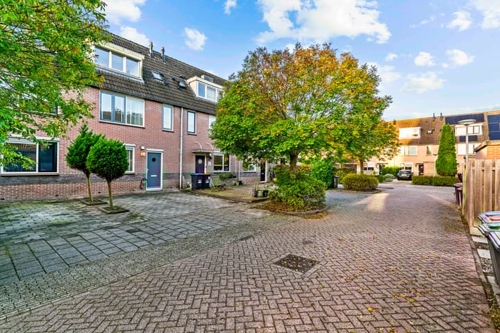 Brandgans 8 in Uithoorn