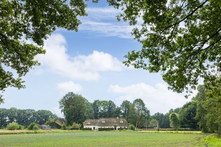 Brandsestraat 13 in Sint-Michielsgestel