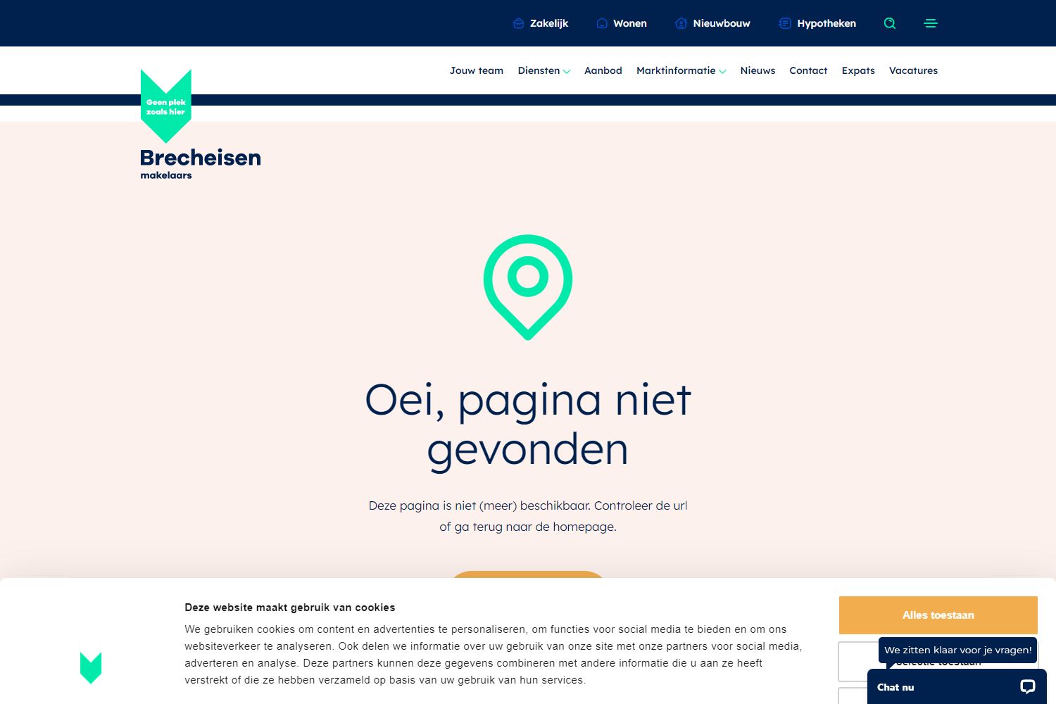 Screenshot van de website van www.brecheisen.nl