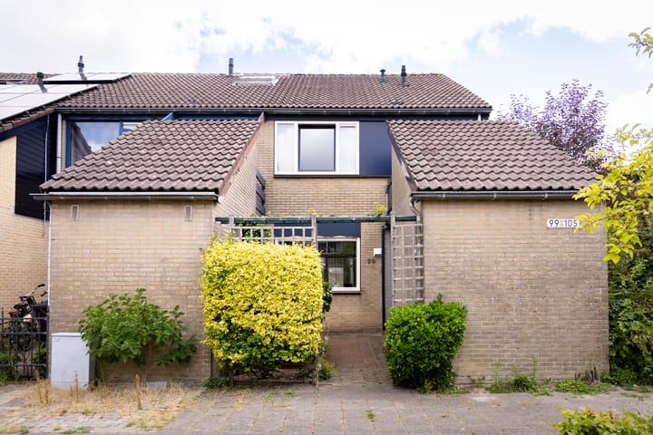 Breeuwer 99 in Hoorn