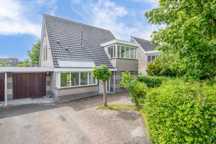 Broekfinne 121 in De Wilgen