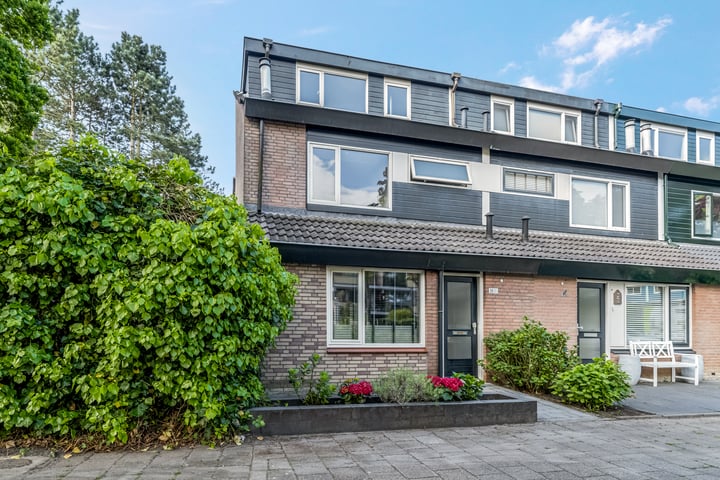 Brugakker 3660 in Zeist