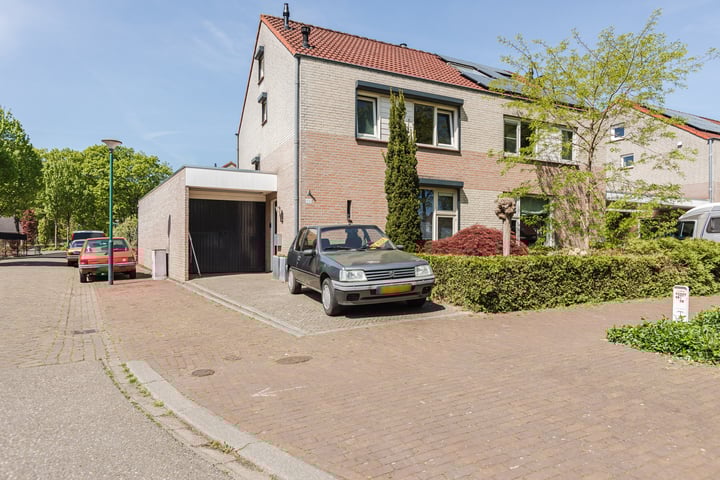 Brugse Berg 100 in Mill