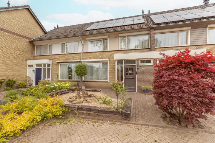 Bruine Berk 7 in Zundert