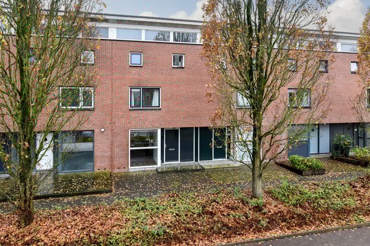 Bruine Lijster 16 in Uithoorn