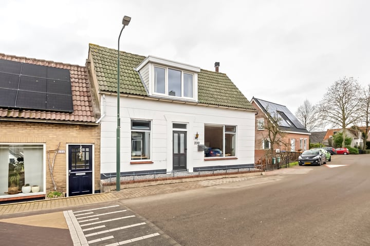 Buitendams 230 in Hardinxveld-Giessendam