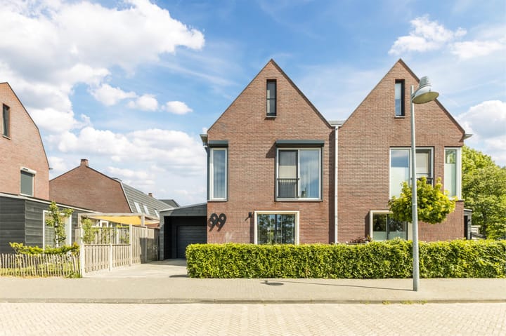 Buitenkruier 99 in Stompetoren foto