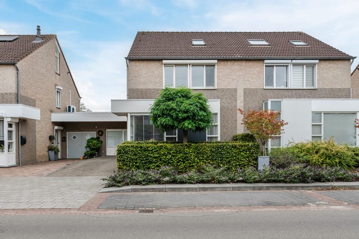 Buizerd 11 in Veldhoven foto