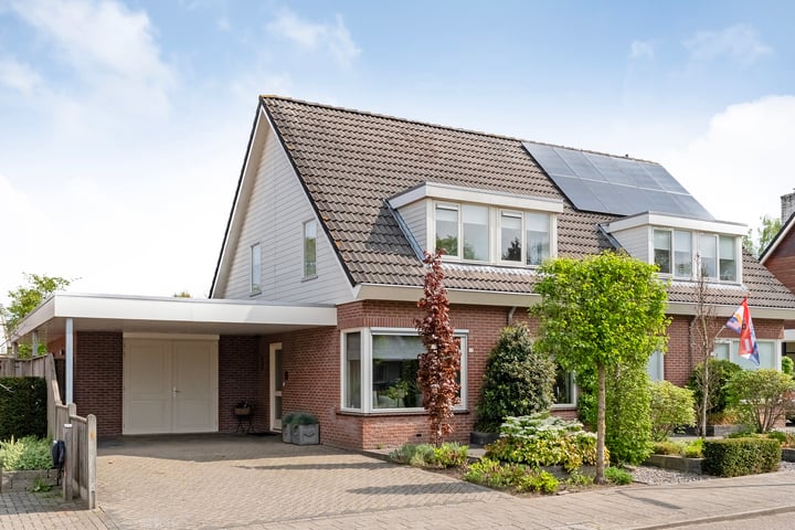 Buizerd 12 in Raalte