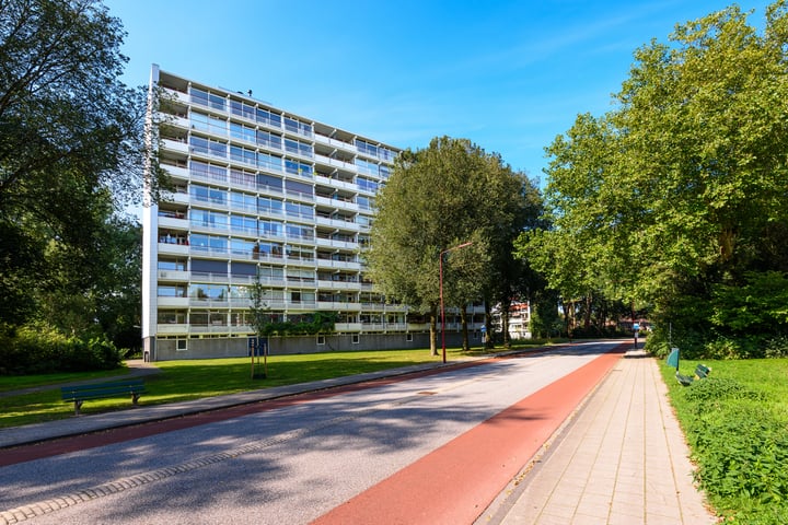 Buizerd 42 in Heerenveen
