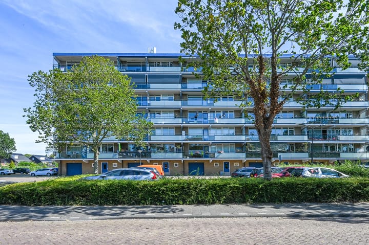 Buizerdstraat 144 in Maassluis