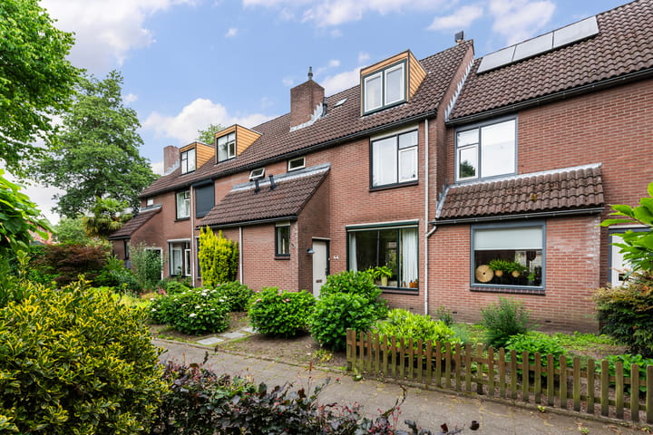 Buizerdstraat 44 in Epe