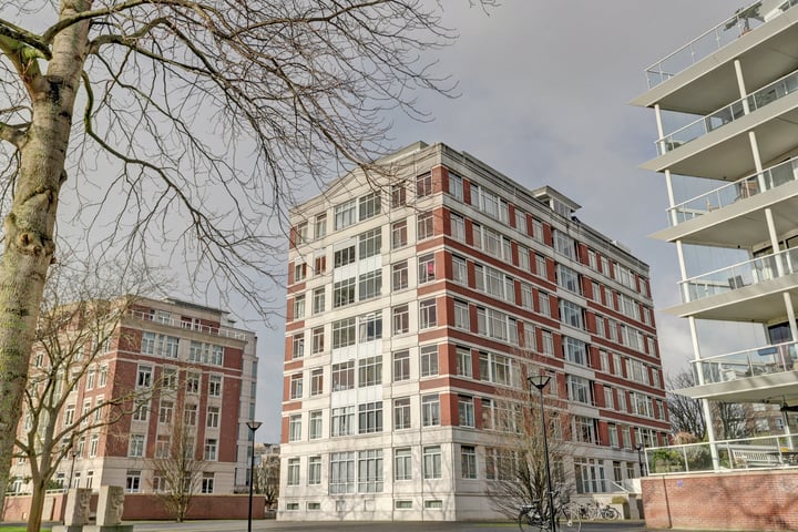 Burgemeester De Monchyplein 222 in 's-Gravenhage