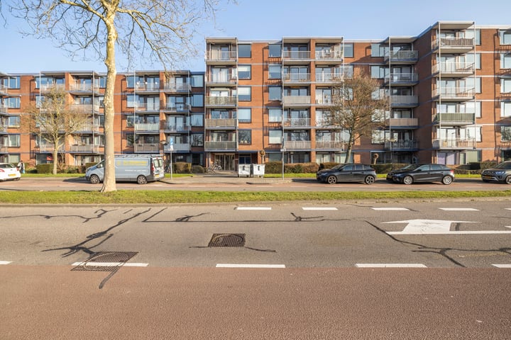 Burgemeester de Raadtsingel 291 in Dordrecht