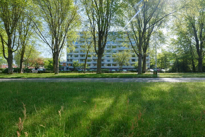 Burgemeester Wuiteweg 249 in Drachten