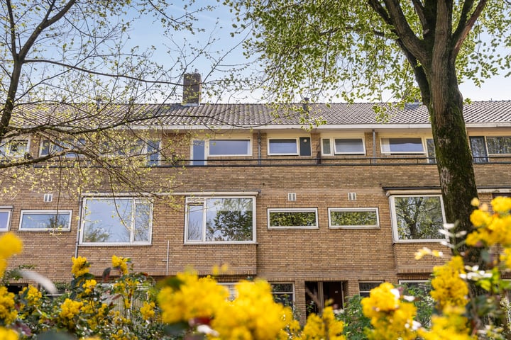 Buys Ballotsingel 29B in Schiedam
