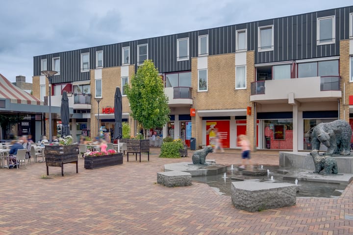 Photo of property Callunaplein 100, Dieren