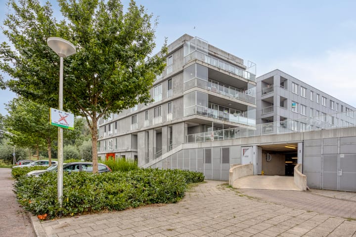 Cantharel 60 in Alphen aan den Rijn
